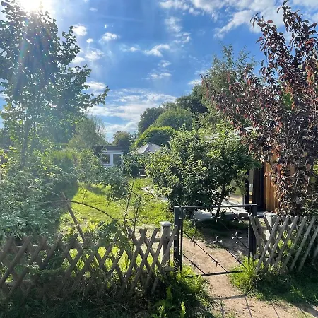 Aalglatt Am Deich, 250 M Zum Dom wakacyjny Dierhagen