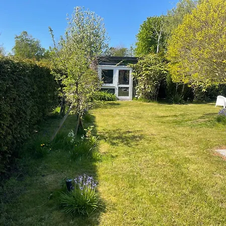 Aalglatt Am Deich, 250 M Zum Dierhagen