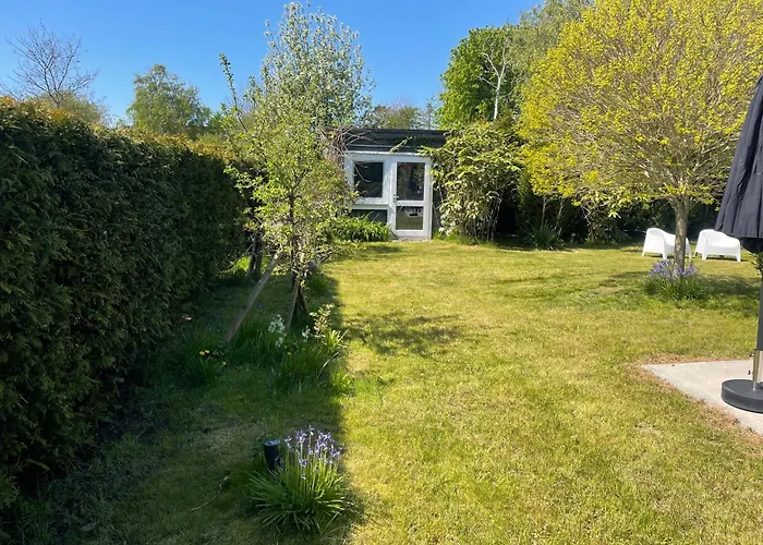 Aalglatt Am Deich, 250 M Zum Dierhagen